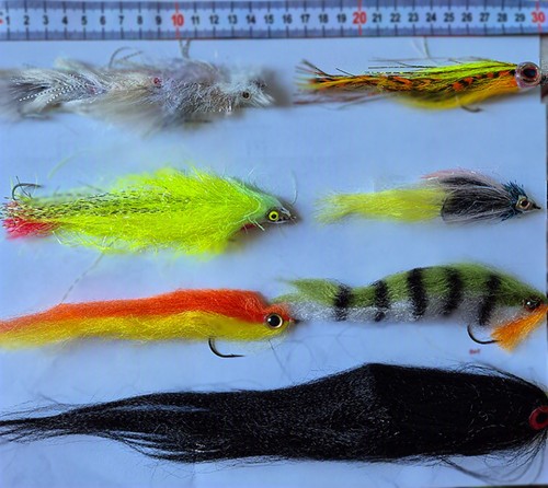 Pike streamer set 7 proven - pike,