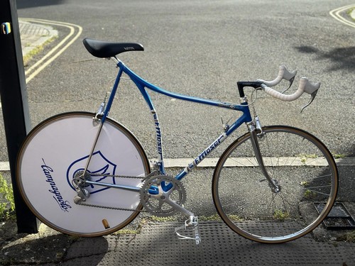 Moser pursuit time - pursuit, trial