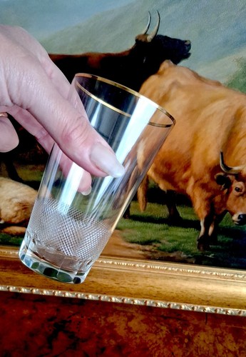 Moser royal long drink glasses - royal,