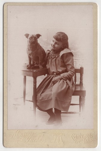 Antique cabinet card - cabinet, moser